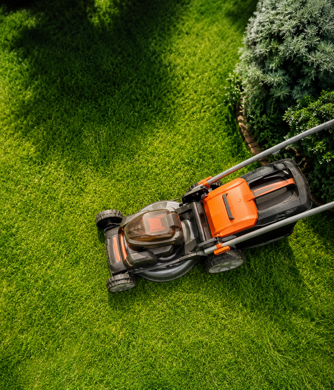 Lawn care service